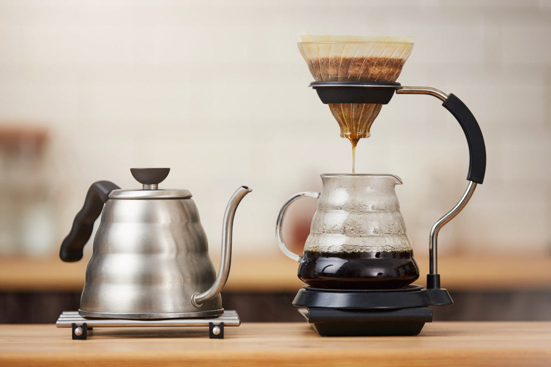 ¿Qué es el café de especialidad?