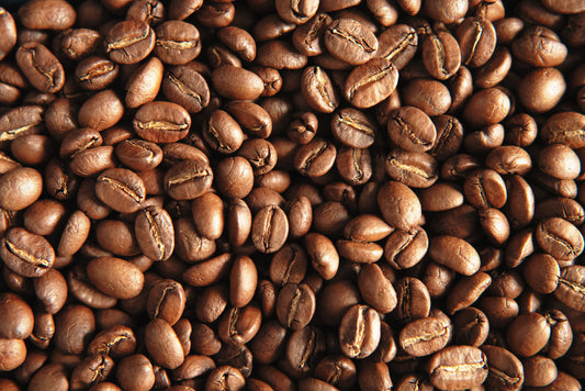 Karnataka – India | Specialty Coffee 84 SCA