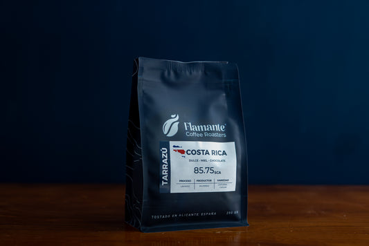 Costa Rica – La Pastora | Café de especialidad 85,75 SCA
