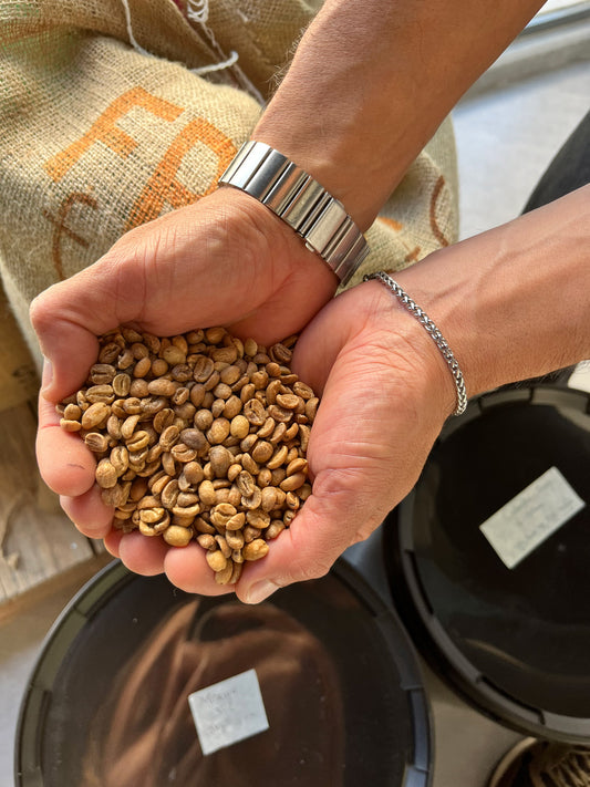 Specialty Coffee Tasting Workshop | Comparison of Methods and Profiles